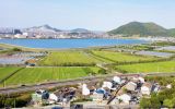 青年創(chuàng)客話振興